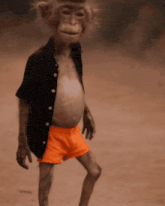 Macaco Dançando